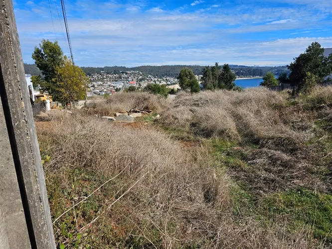 Terreno Construccion en venta en Dichato, Tomé #137768 - Imagen 5