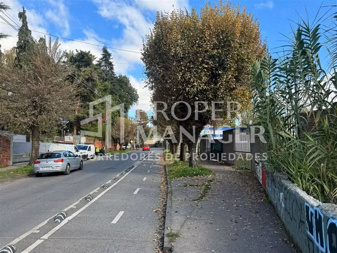 Se Arrienda Gran Sitio Comercial en Chillán