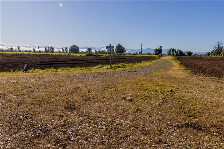 Agrícola en venta en San Gregorio