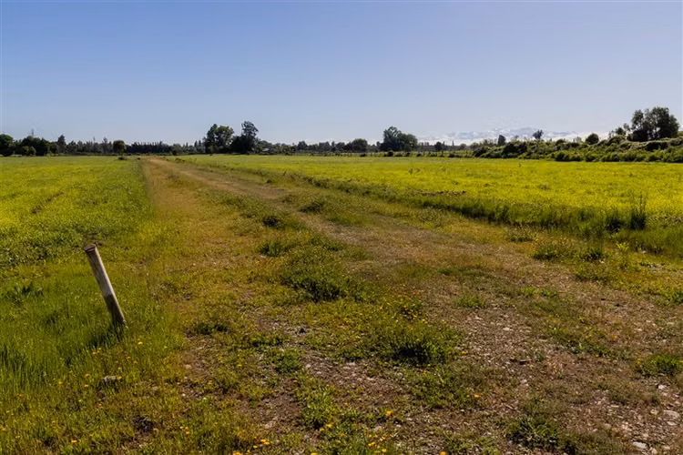 Parcela en venta en Parral, San Gregorio