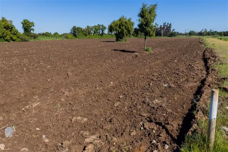 Parcela en venta en Parral, San Gregorio