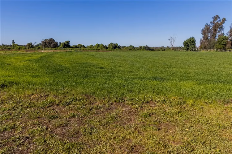 Parcela en venta en Parral, San Gregorio