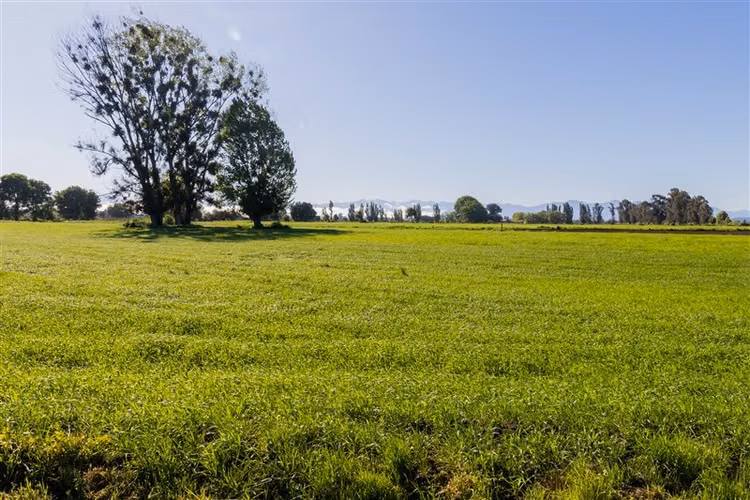 Parcela en venta en Parral, San Gregorio