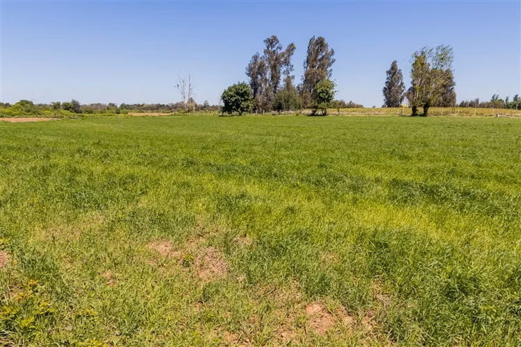 Parcela en venta en Parral, San Gregorio