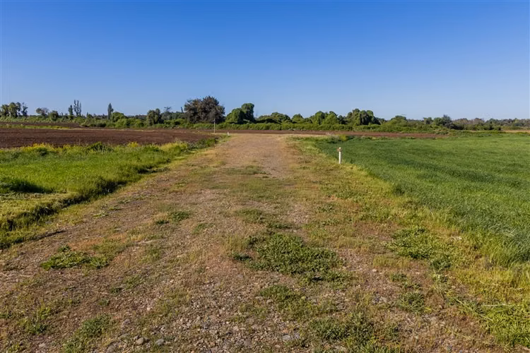 Parcela en venta en Parral, San Gregorio