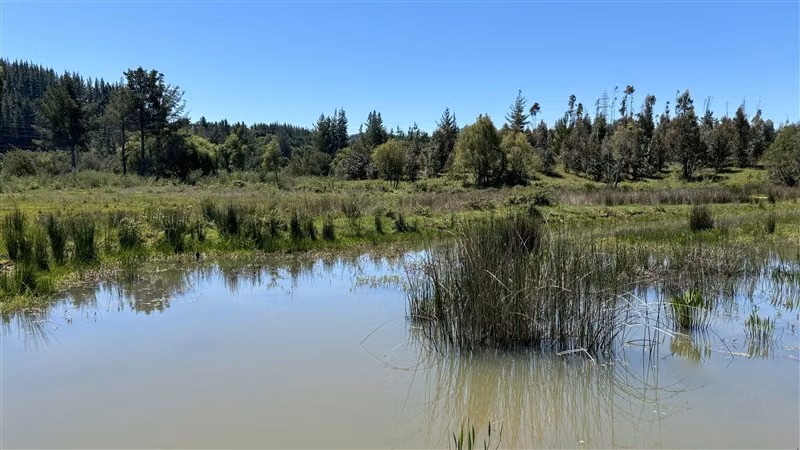 Parcela en venta en Yumbel