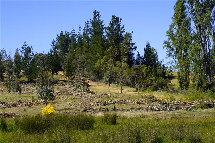 Terreno Construccion en venta en Yumbel