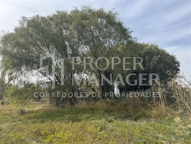 Parcela en venta en Chillán - Imagen 16