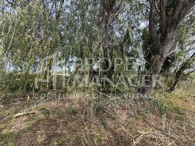 Parcela en venta en Chillán - Imagen 4