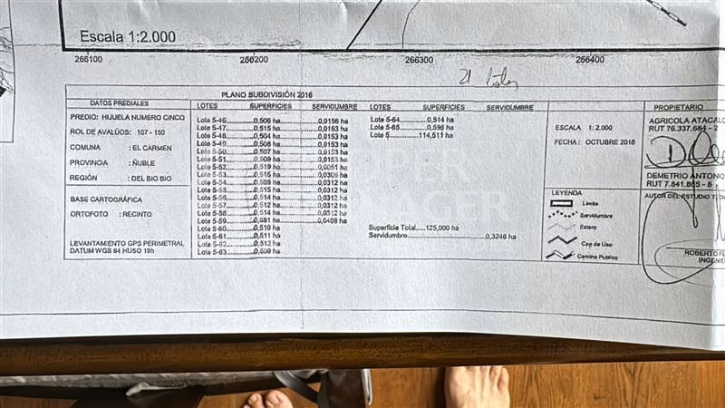 Agrícola en venta en Pinto - Imagen 8