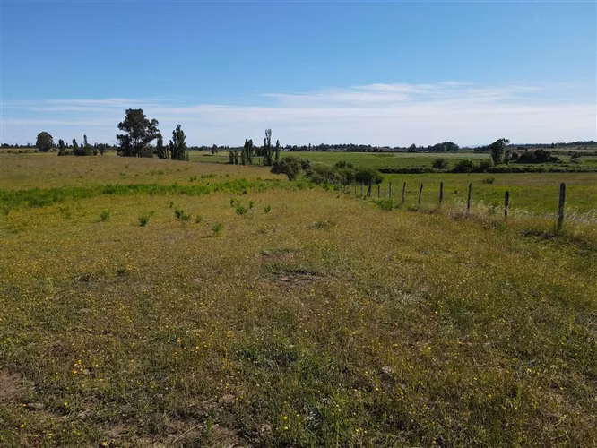 Campo Agrícola en venta en Chillán #137778