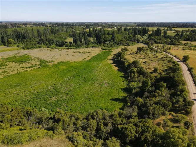 Campo Agrícola en venta en Chillán #137778