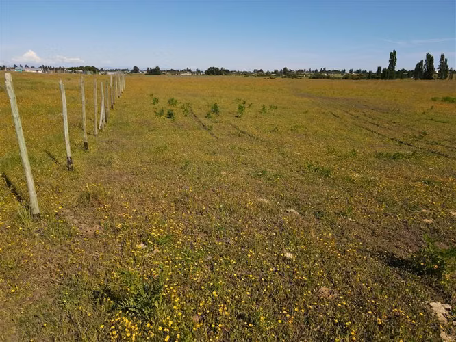 Campo Agrícola en venta en Chillán #137778