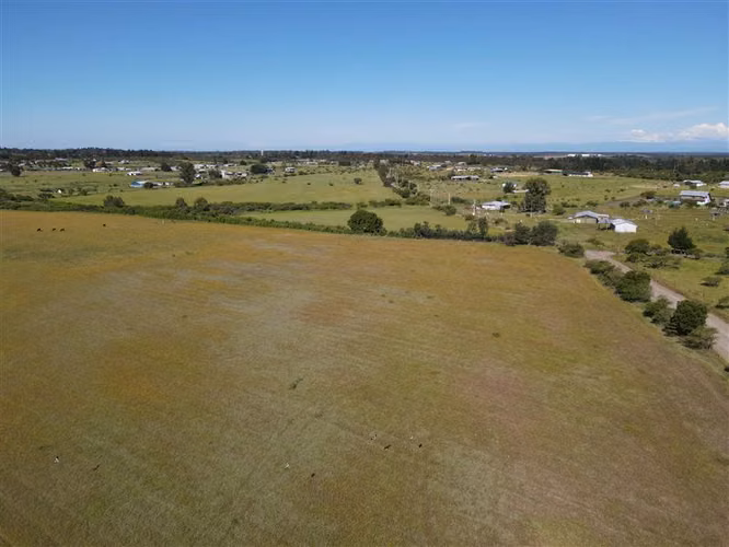 Campo Agrícola en venta en Chillán #137778