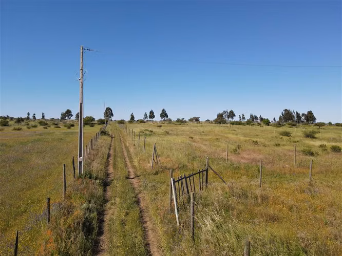 Campo Agrícola en venta en Chillán #137778