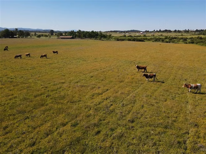 Campo Agrícola en venta en Chillán #137778