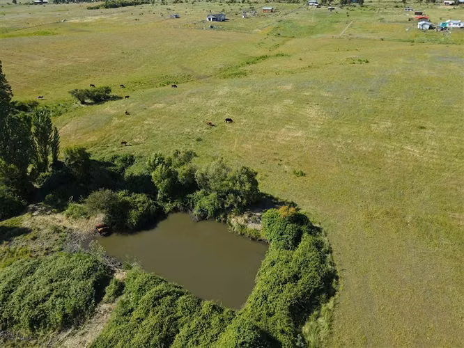 Terreno agrícola en venta en sector Chillán #137778 - Imagen 8