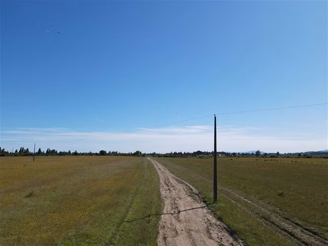 Campo Agrícola en venta en Chillán #137778