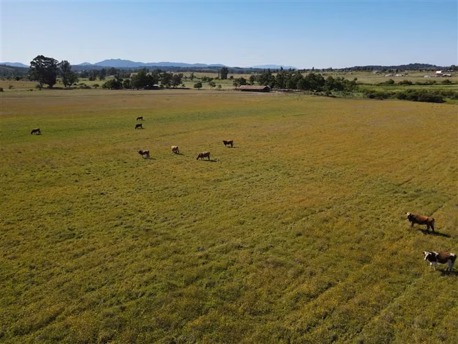 Campo Agrícola en venta en Chillán #137778