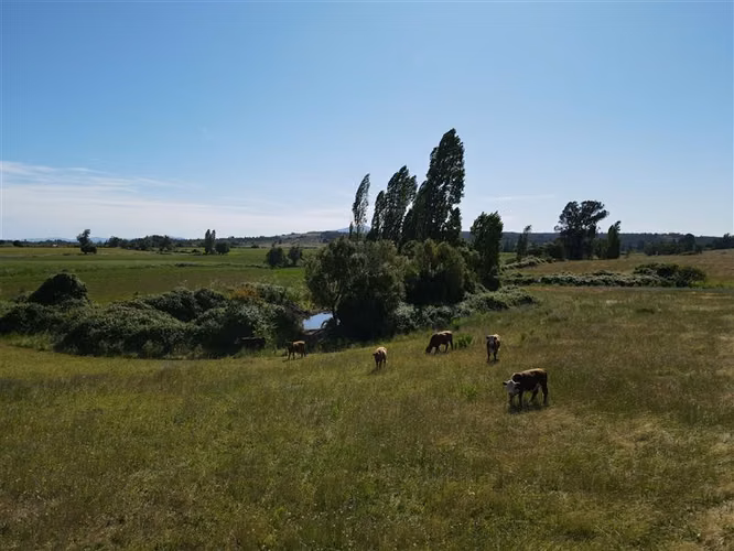 Terreno agrícola en venta en sector Chillán #137778