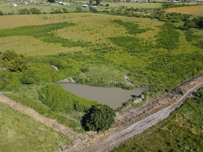 Terreno agrícola en venta en sector Chillán #137778 - Imagen 7