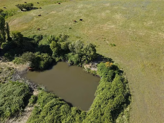 Terreno agrícola en venta en sector Chillán #137778 - Imagen 6