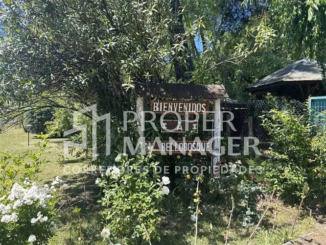 Local Comercial en venta en Quillón