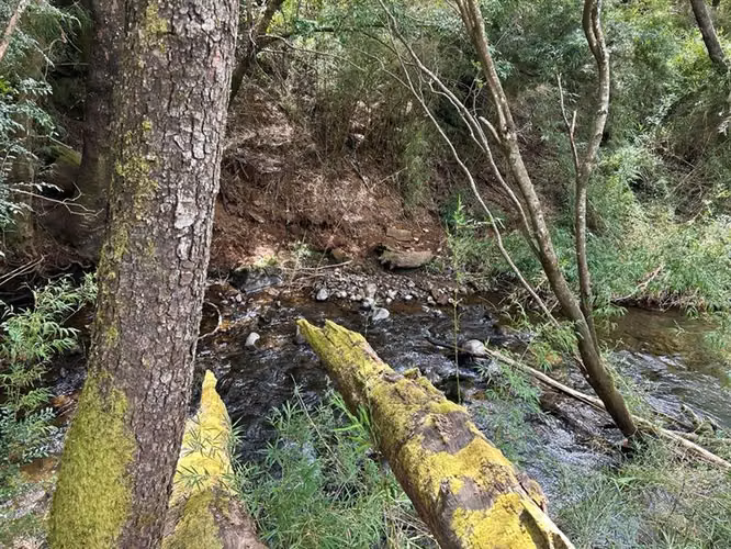 Sitio en Venta Recinto, Termas de Chillán #137786 - Imagen 8