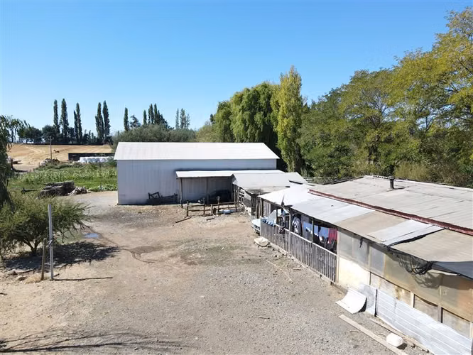 Parcela con casa, bodega y chacra en venta, Chillán #137785 - Imagen 41