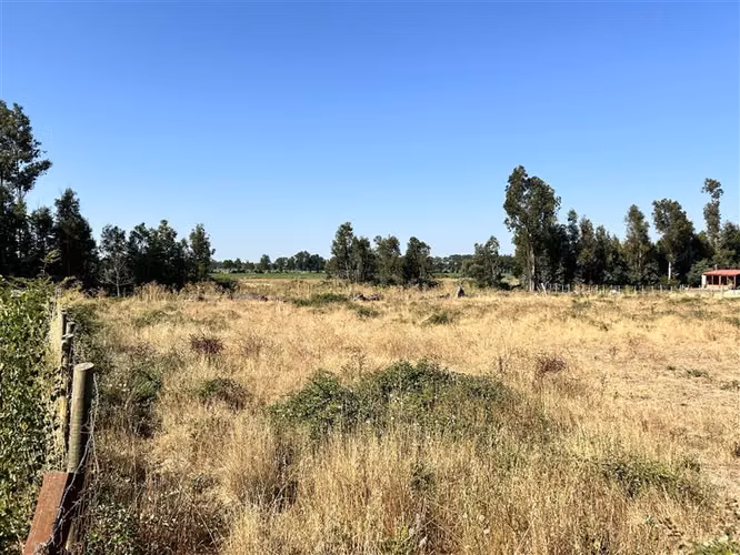 Parcela en Condominio Cerrado Ñuble Alto, Parque Lantaño - Imagen 8