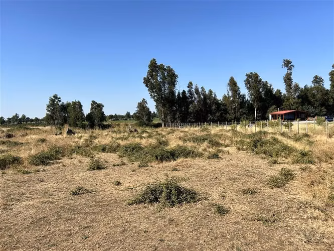 Parcela en Condominio Cerrado Ñuble Alto, Parque Lantaño - Imagen 4