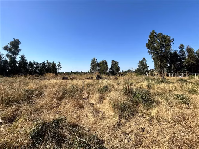 Parcela en Condominio Cerrado Ñuble Alto, Parque Lantaño - Imagen 12