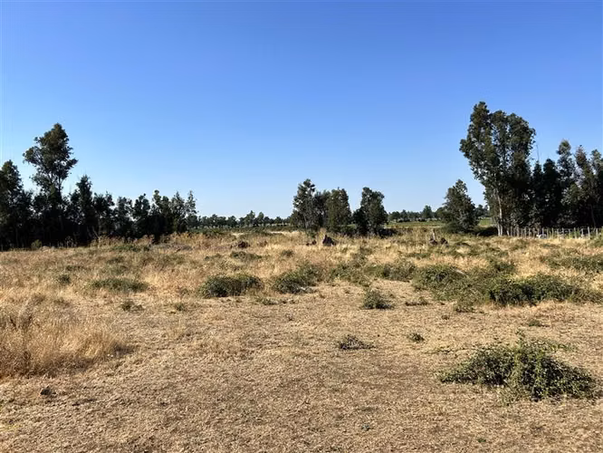Parcela en Condominio Cerrado Ñuble Alto, Parque Lantaño - Imagen 5