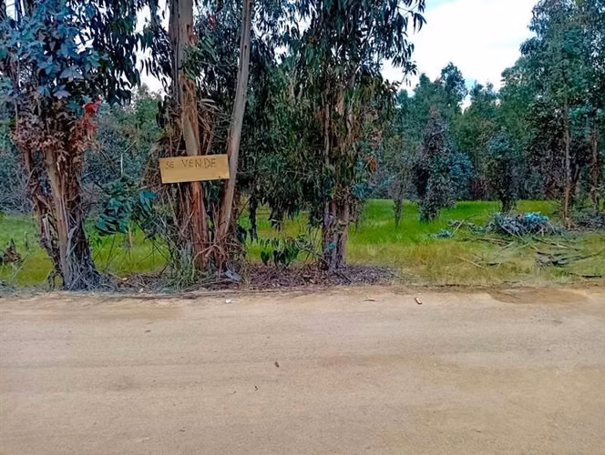 Parcela en Venta en Pumanque