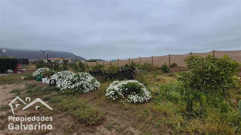 Parcela en venta en Coquimbo - Imagen 21