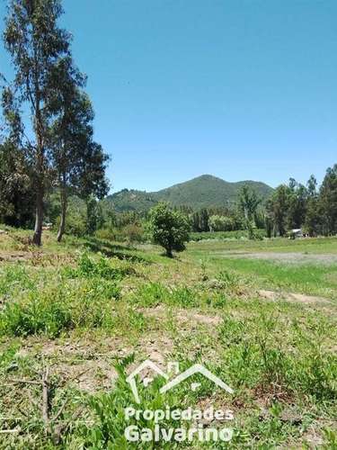 oportunidad , Parcela en venta en la comuna de Pelarco - Imagen 6