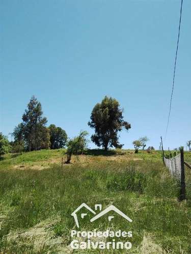 oportunidad , Parcela en venta en la comuna de Pelarco - Imagen 5