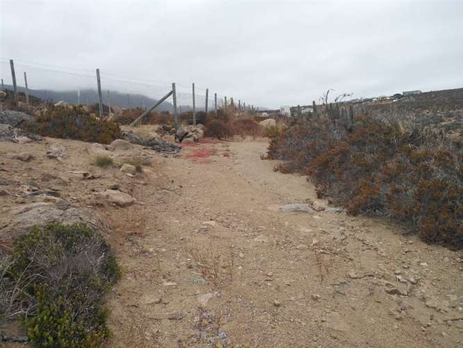 Sitio en venta en La Serena 5.000mt2 - Imagen 4