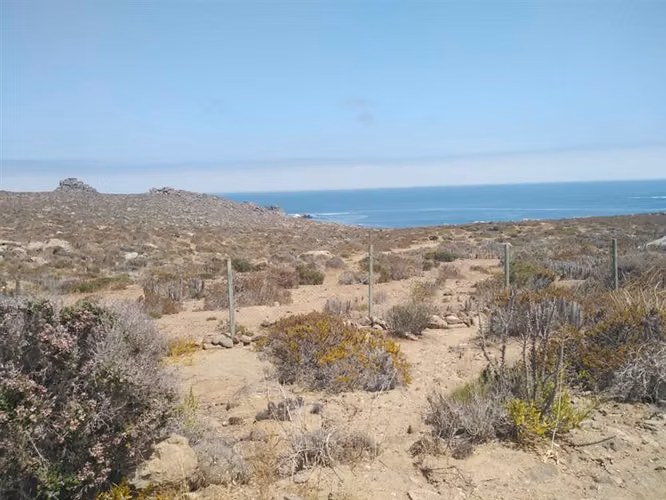 Sitio en venta en La Serena 5.000mt2