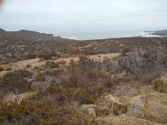 Sitio en venta en La Serena 5.000mt2 - Imagen 2