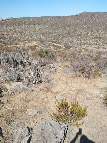 Sitio en venta en La Serena 5.000mt2 - Imagen 11
