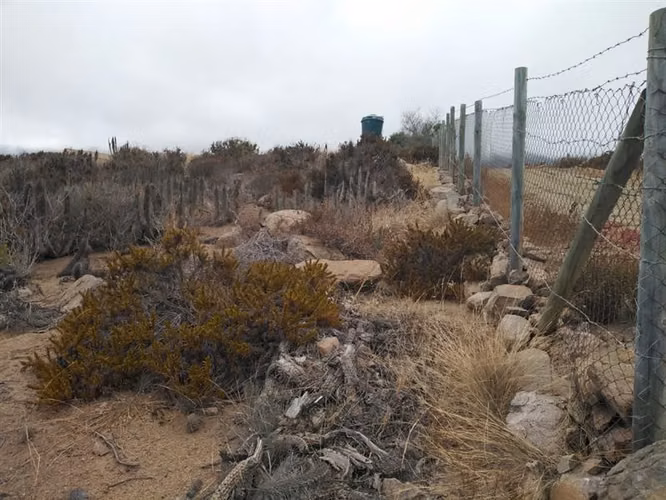 Sitio en venta en La Serena 5.000mt2