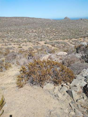 Sitio en venta en La Serena 5.000mt2 - Imagen 9