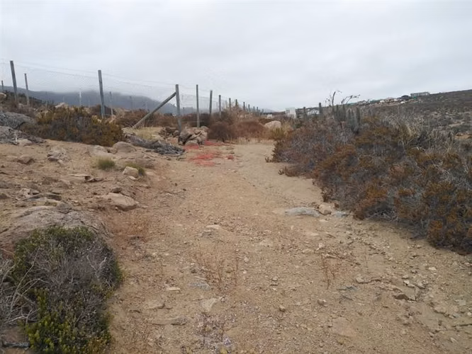 Sitio en venta en La Serena 5.000mt2