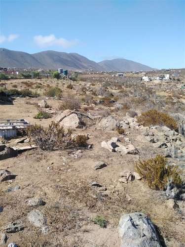 Sitio en venta en La Serena 5.000mt2 - Imagen 13