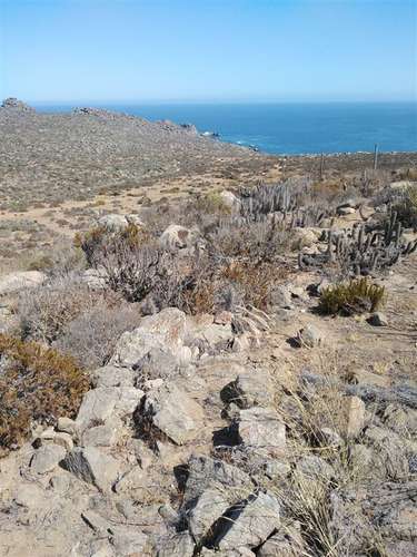 Sitio en venta en La Serena 5.000mt2 - Imagen 10