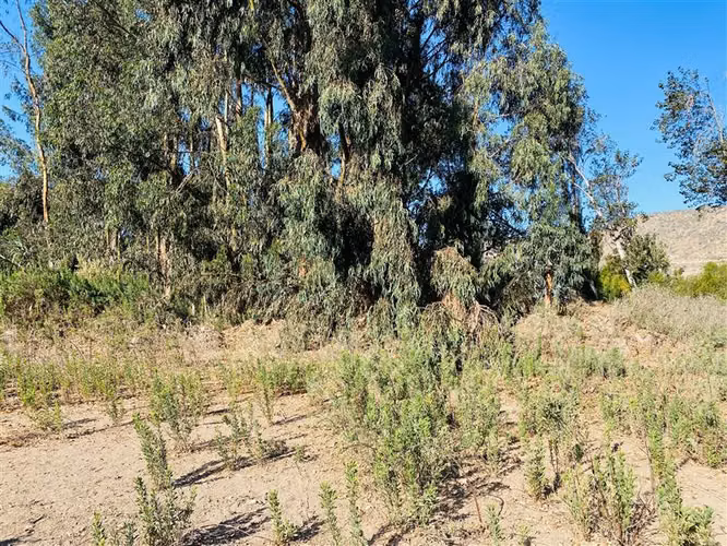 Parcela en venta en La Serena - Imagen 10