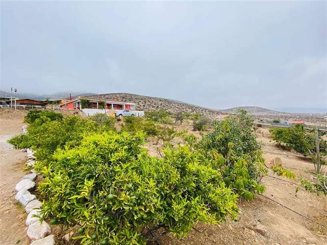 Parcela en venta en Coquimbo - Imagen 29