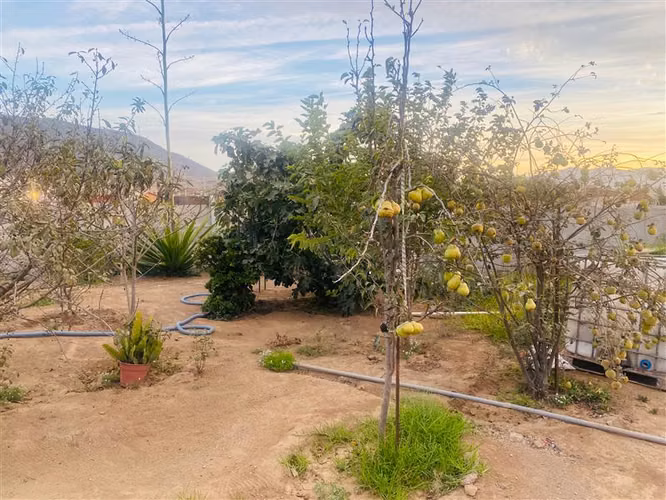 Agrícola en venta en Coquimbo