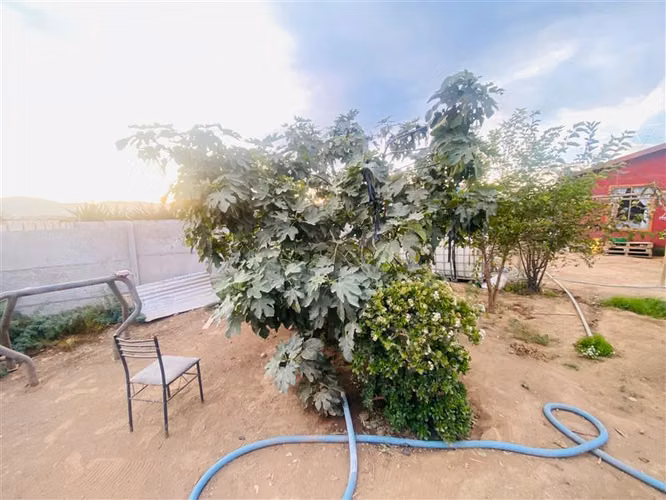 Agrícola en venta en Coquimbo